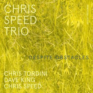 Chris Speed Trio - Despite Obstacles  CD